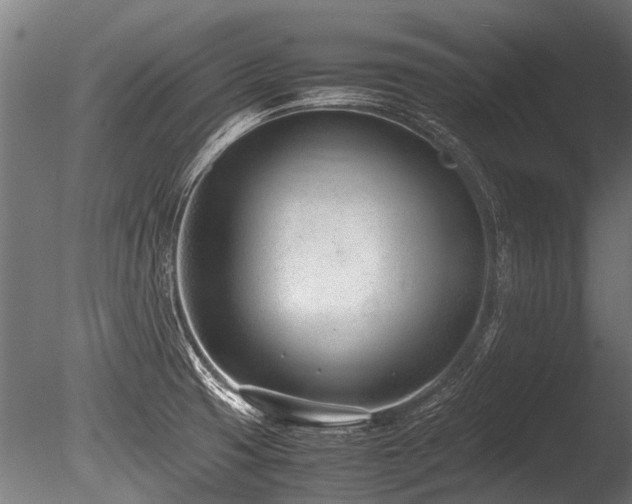 X0000086041425200703231228