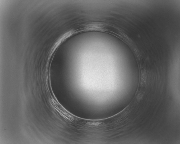X0000086041435200703231229