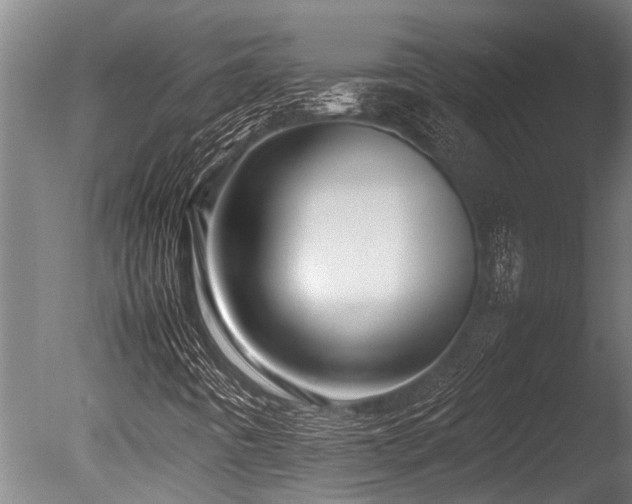 X0000086041442200703231228