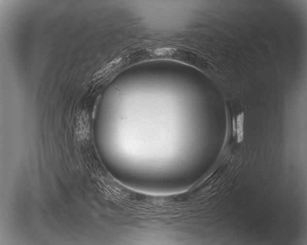 X0000086041443200703231228