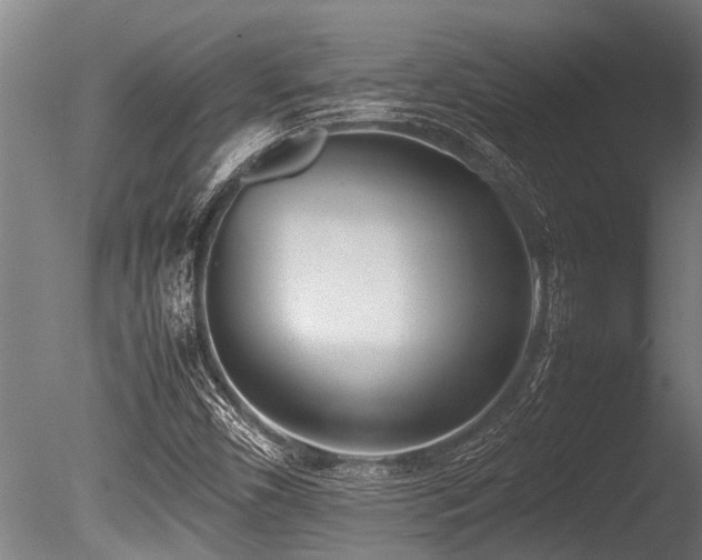 X0000086041450200703231228