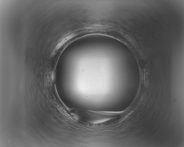 X0000086041453200703231228