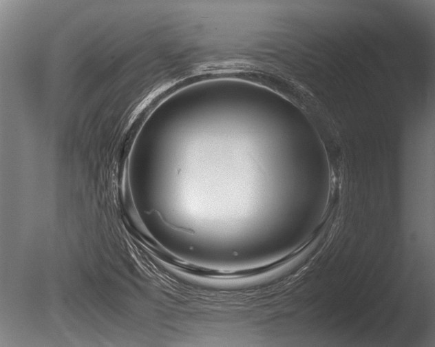 X0000086041457200703231228
