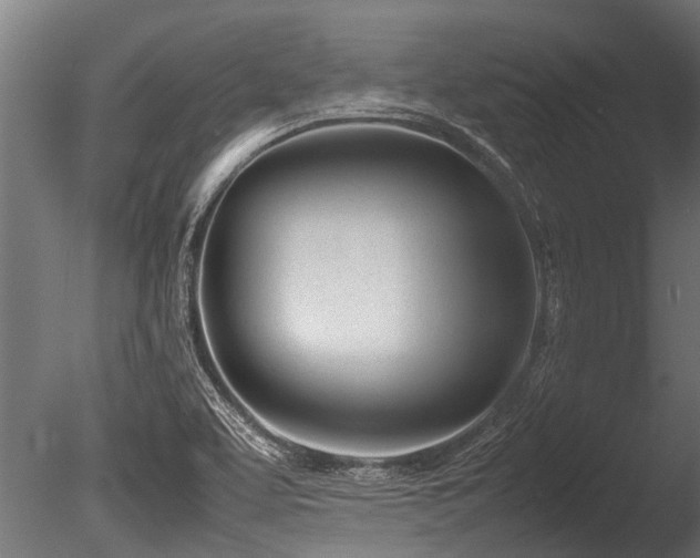 X0000086041463200703231227