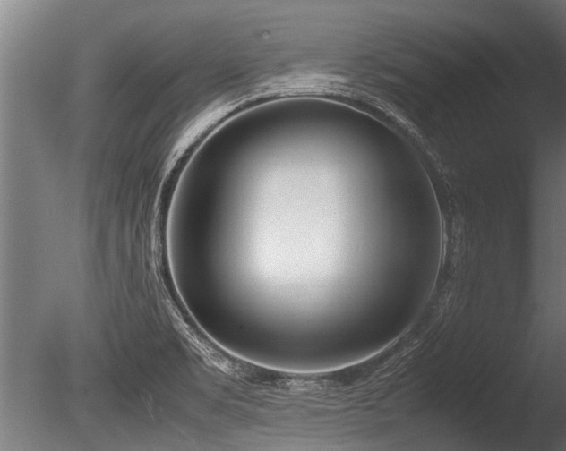 X0000086041469200703231227