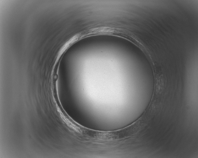 X0000086041475200703231227