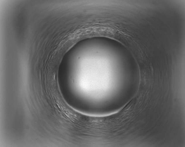 X0000086041489200703231226
