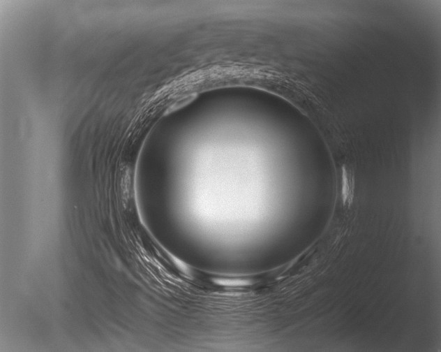 X0000086041492200703231226