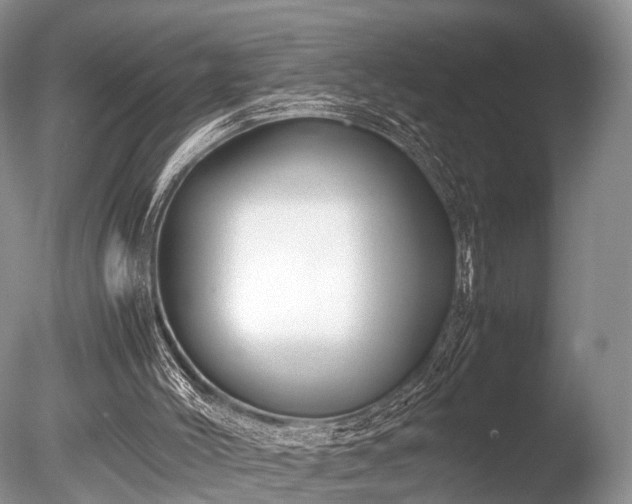 X0000086040004200703301052
