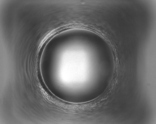 X0000086040007200703301051