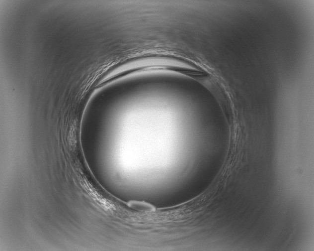X0000086040009200703301051