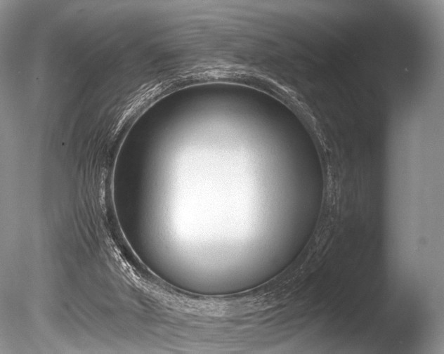 X0000086040010200703301051