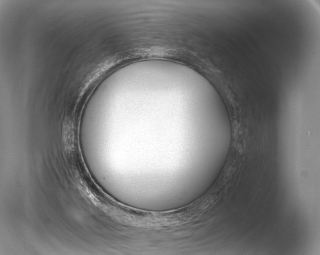 X0000086040012200703301051