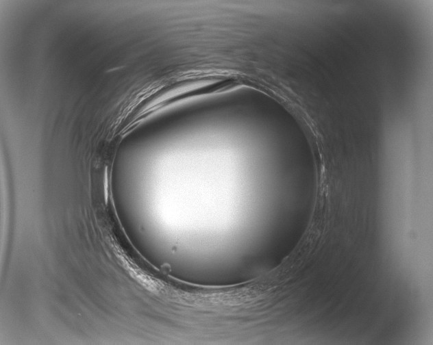 X0000086040013200703301051