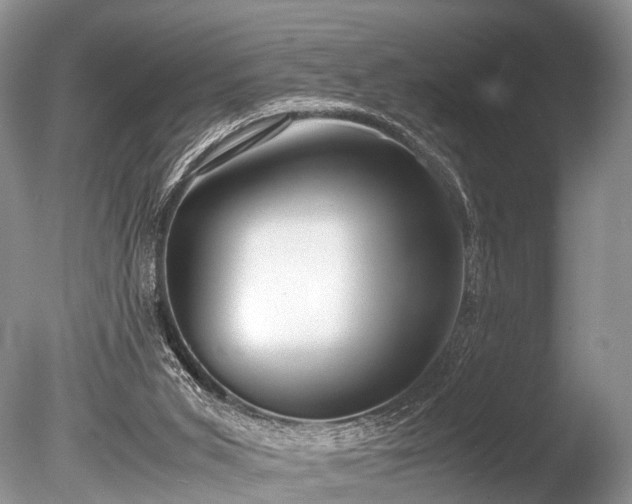 X0000086040015200703301051