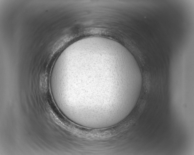X0000086040016200703301051