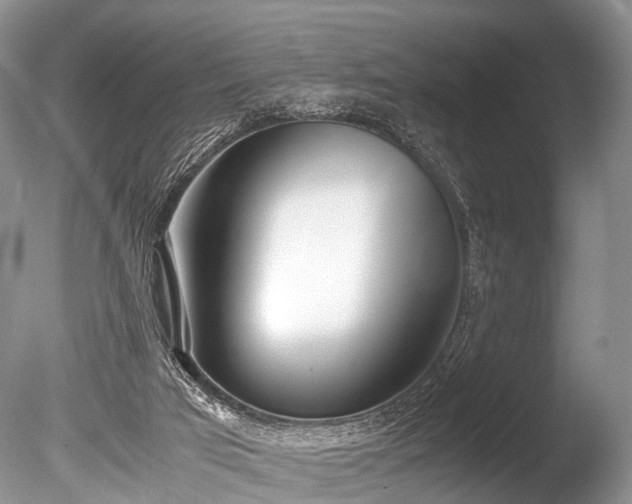 X0000086040017200703301051