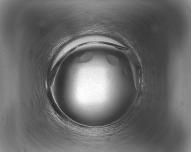 X0000086040019200703301051