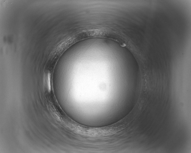 X0000086040022200703301051