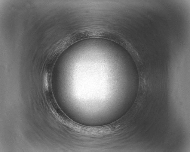 X0000086040026200703301051
