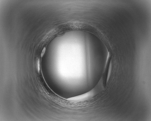 X0000086040027200703301051