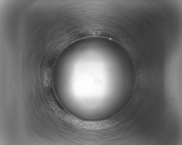 X0000086040030200703301051
