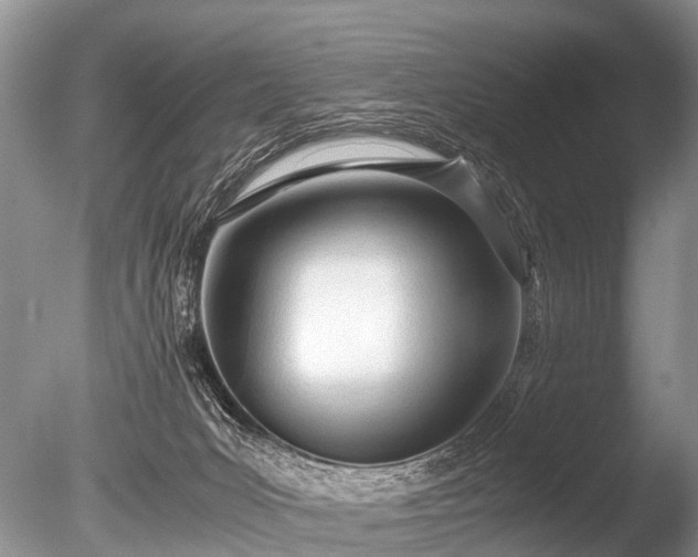 X0000086040031200703301051