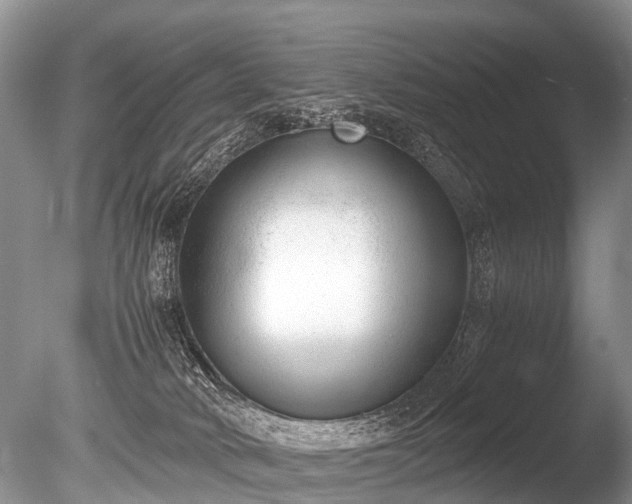 X0000086040034200703301051