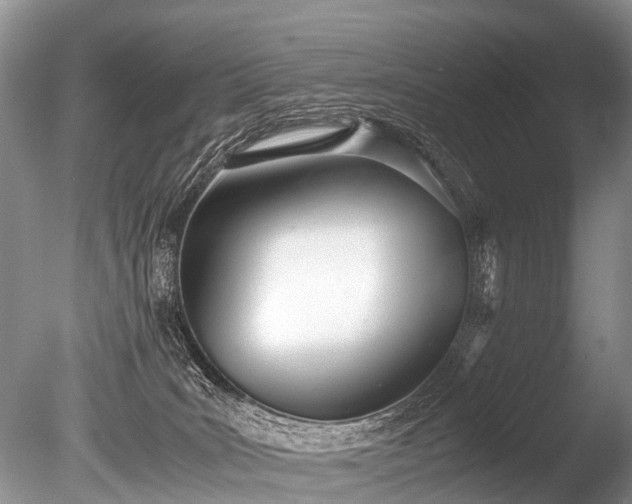 X0000086040035200703301051