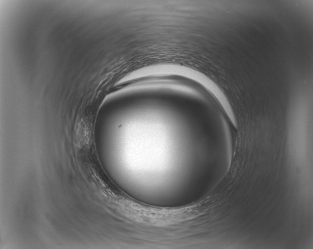 X0000086040039200703301051