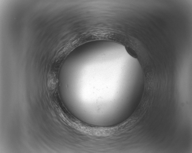 X0000086040040200703301051