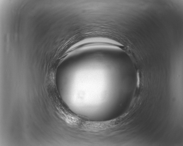 X0000086040045200703301051