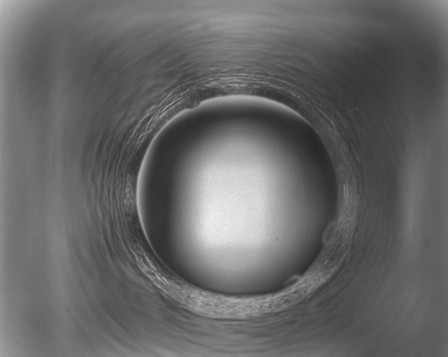 X0000086040048200703301051
