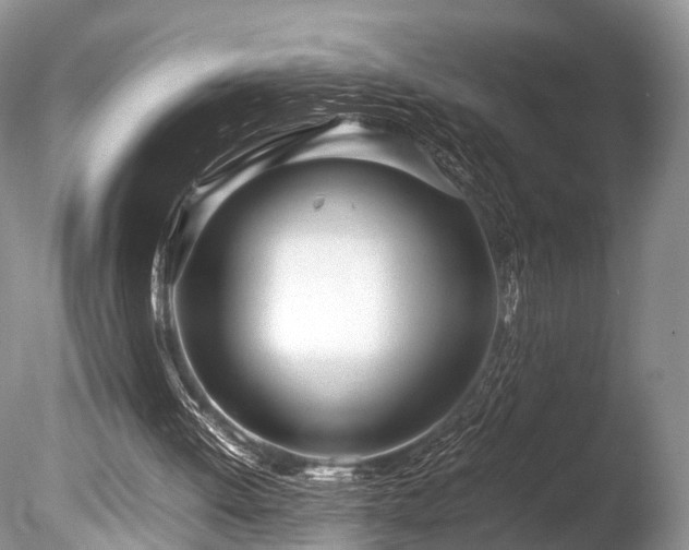X0000086040052200703301050
