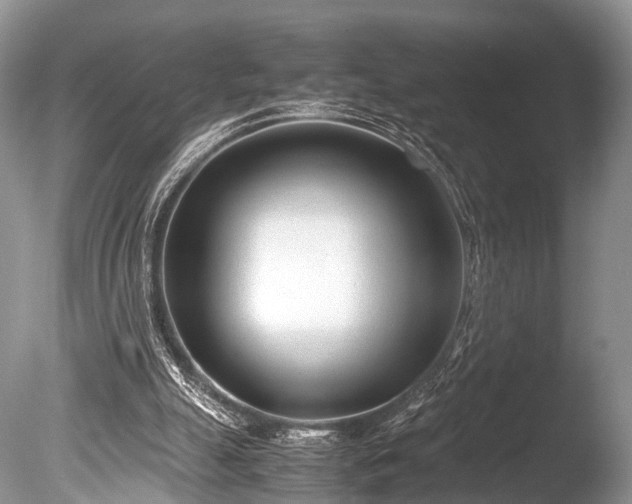 X0000086040055200703301050