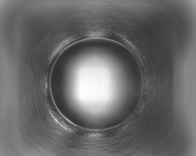 X0000086040059200703301050