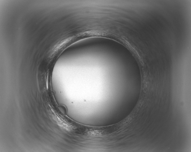 X0000086040062200703301050
