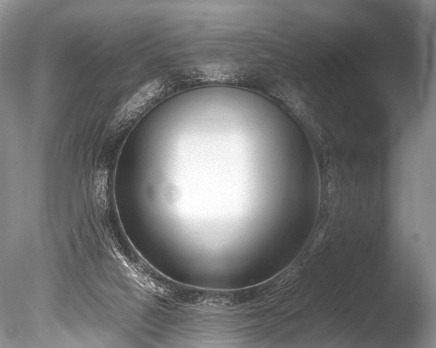 X0000086040066200703301050
