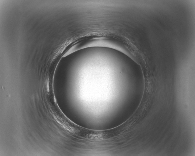 X0000086040068200703301050