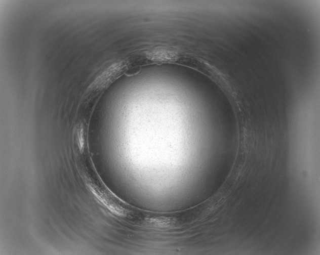 X0000086040069200703301050
