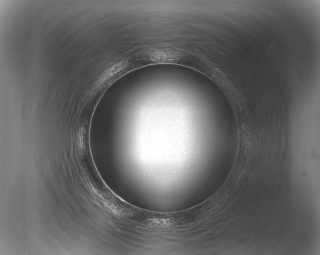 X0000086040071200703301050