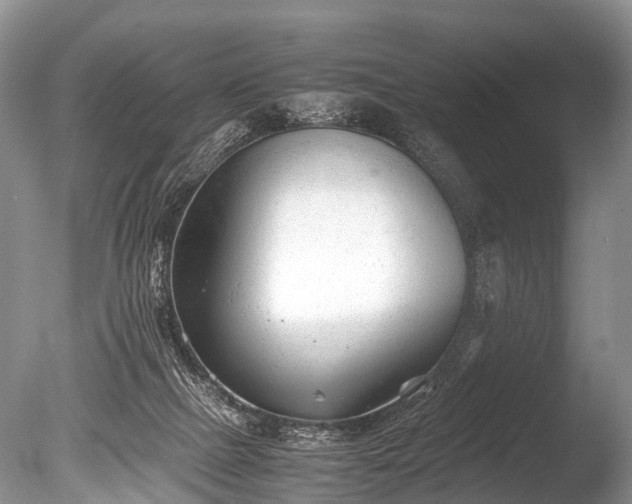 X0000086040073200703301050