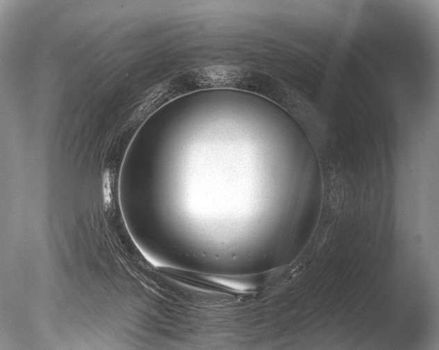 X0000086040075200703301050