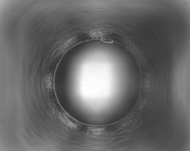 X0000086040081200703301050
