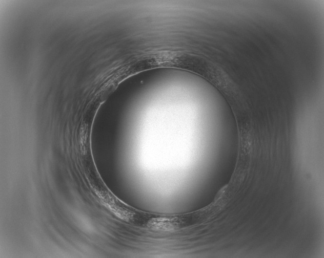X0000086040082200703301051