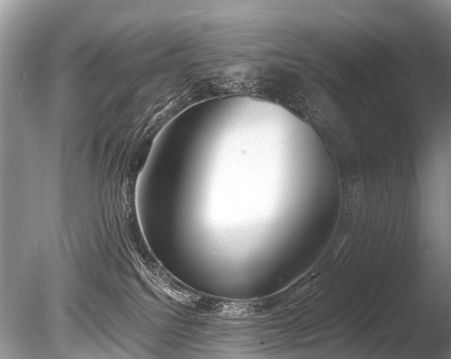 X0000086040088200703301051