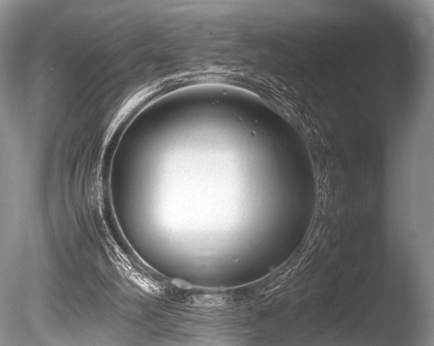 X0000086040102200703301050