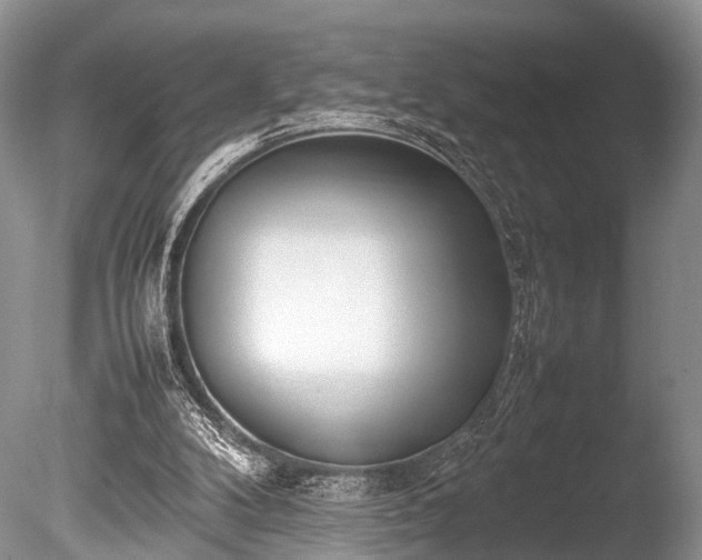 X0000086040104200703301050