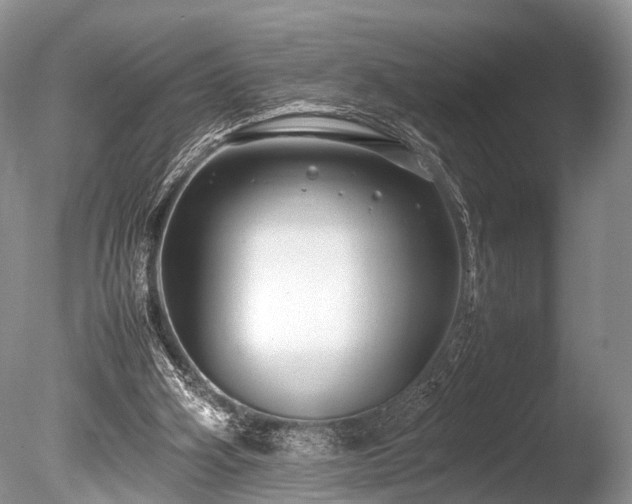 X0000086040106200703301050