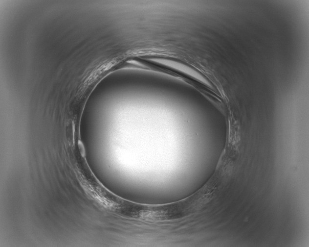 X0000086040109200703301050